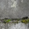 Grab von Ida Rosenstock